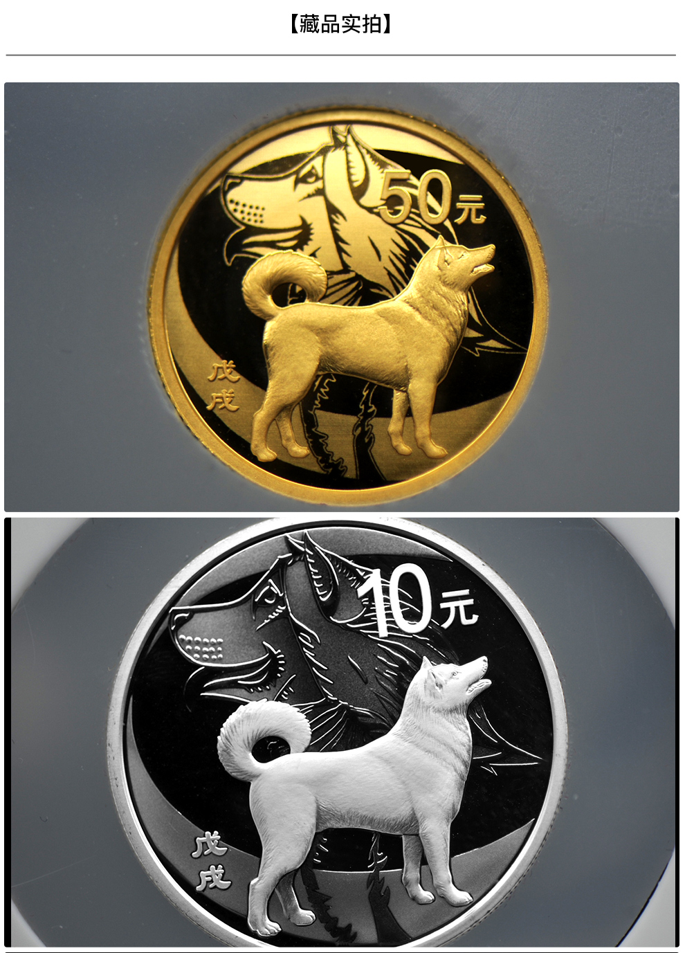 狗狗币的狗年(狗年狗狗币多少钱)