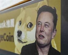 狗狗币是什么东西(币码e函证是什么东西)