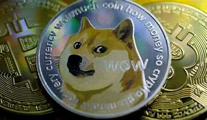 狗狗币怎么挖(狗狗币挖币教程) 狗狗币怎么挖(狗狗币挖币教程)