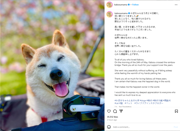 狗狗币的网关(狗狗币上主网了吗)