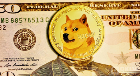 狗狗币正宇(狗狗币 正宇)