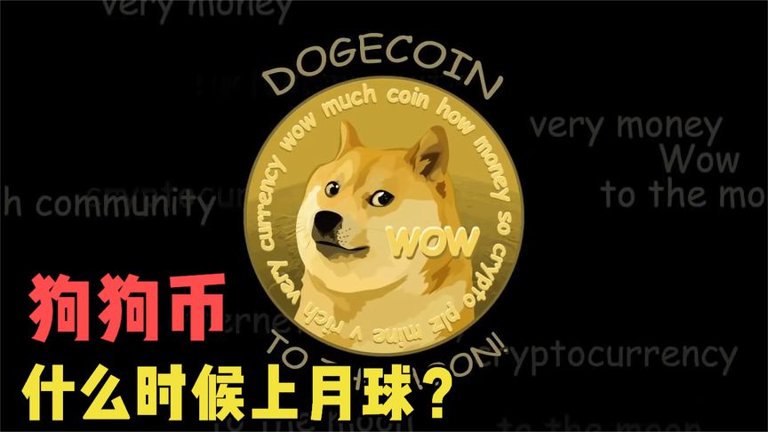 狗狗币未来(狗狗币未来达到1000元) 狗狗币未来(狗狗币未来达到1000元)