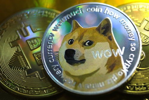 狗狗币在哪里玩(dogecoin狗狗币在哪里买)