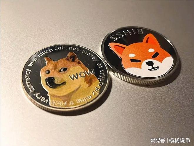 狗狗币会涨吗(狗狗币会涨到5块钱吗)