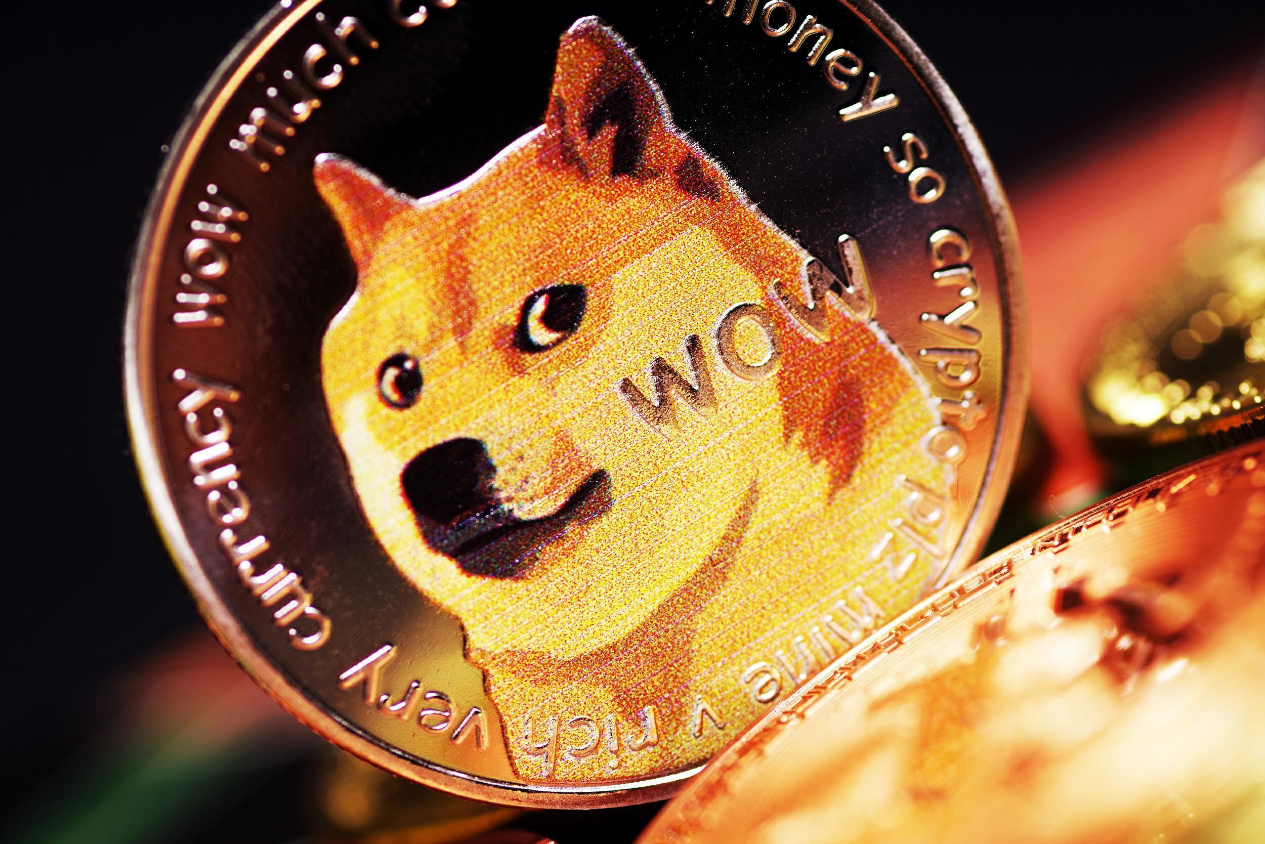 狗狗币钱包(狗狗币钱包dogecoin)