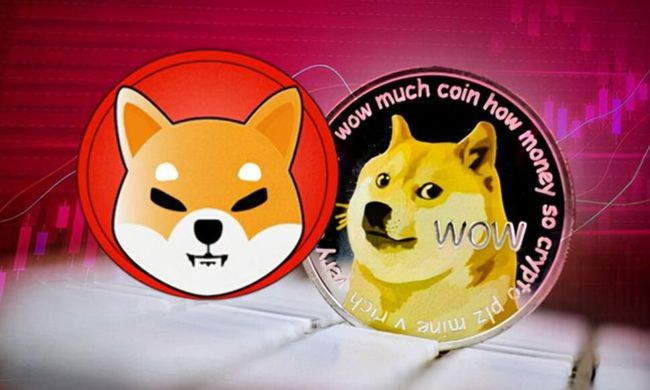 狗狗币钱包(狗狗币钱包dogecoin)
