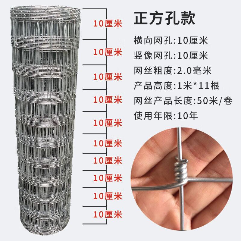 鹿网(鹿网络意思)