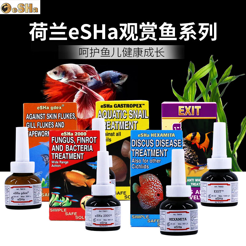 GDEX(g的写法有几种) GDEX(g的写法有几种)