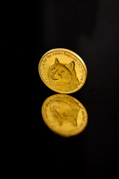 goubi(狗币今日行情) goubi(狗币今日行情)