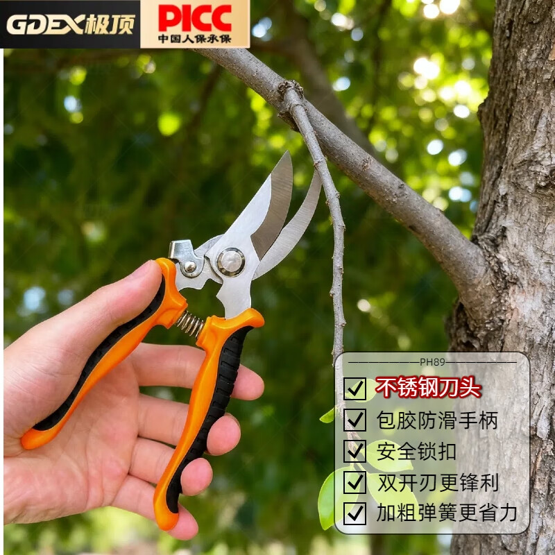 GDEX(广东二线城市有哪些)