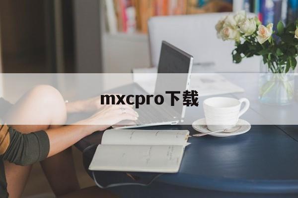 mxcpro下载(mxpayer1294)