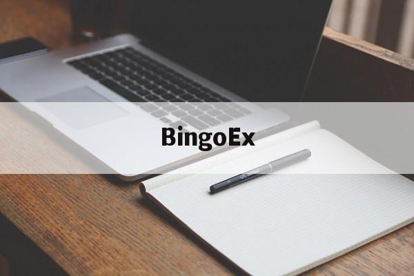 BingoEx(bingoex交易所怎么样)