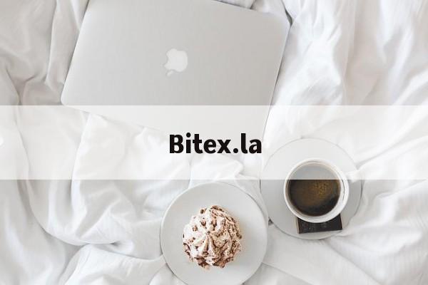Bitex.la(bitexco杩欎釜闆嗗洟)
